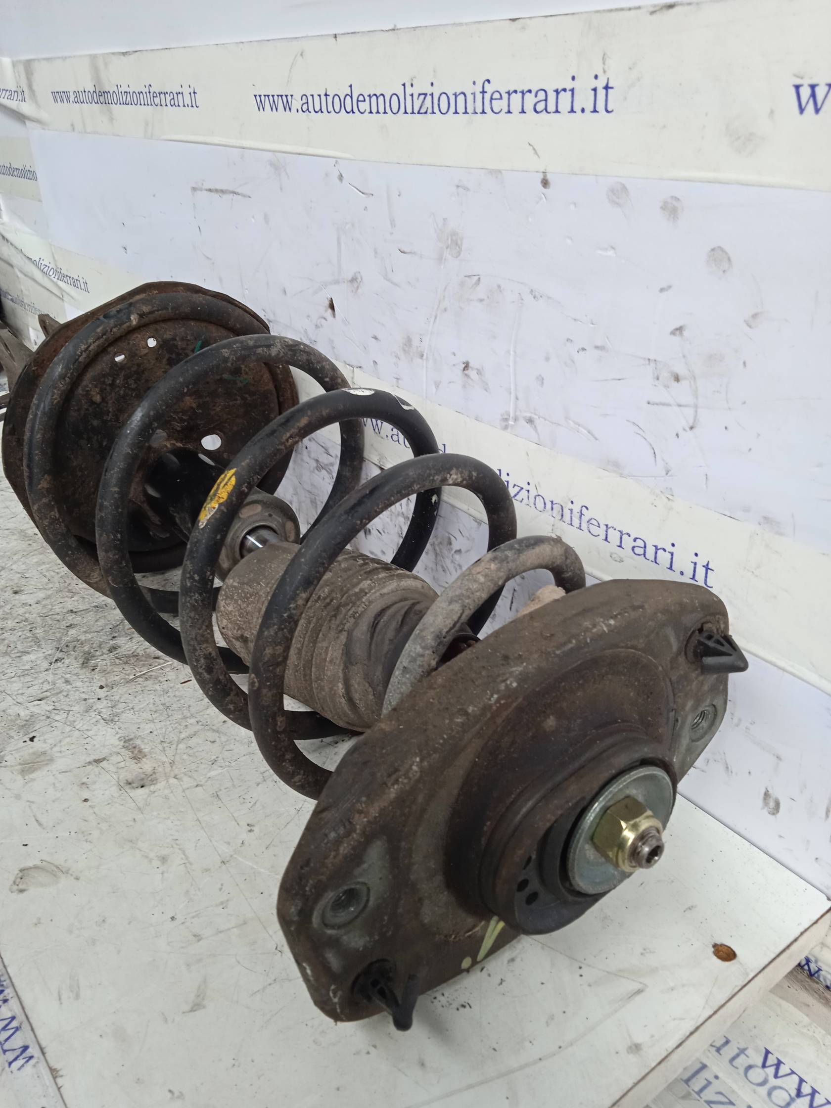 Ammortizzatore ant. sx.